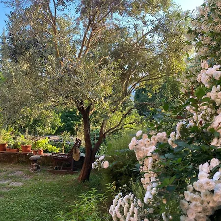 Casa Dei Fiori ベッド・アンド・ブレックファスト 3*
