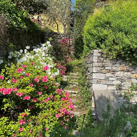ベッド・アンド・ブレックファスト Casa Dei Fiori 3*